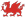 Red Ragon I.T. Ltd\n Version 0.8